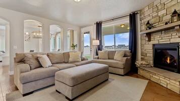 TV, fireplace, video games, books