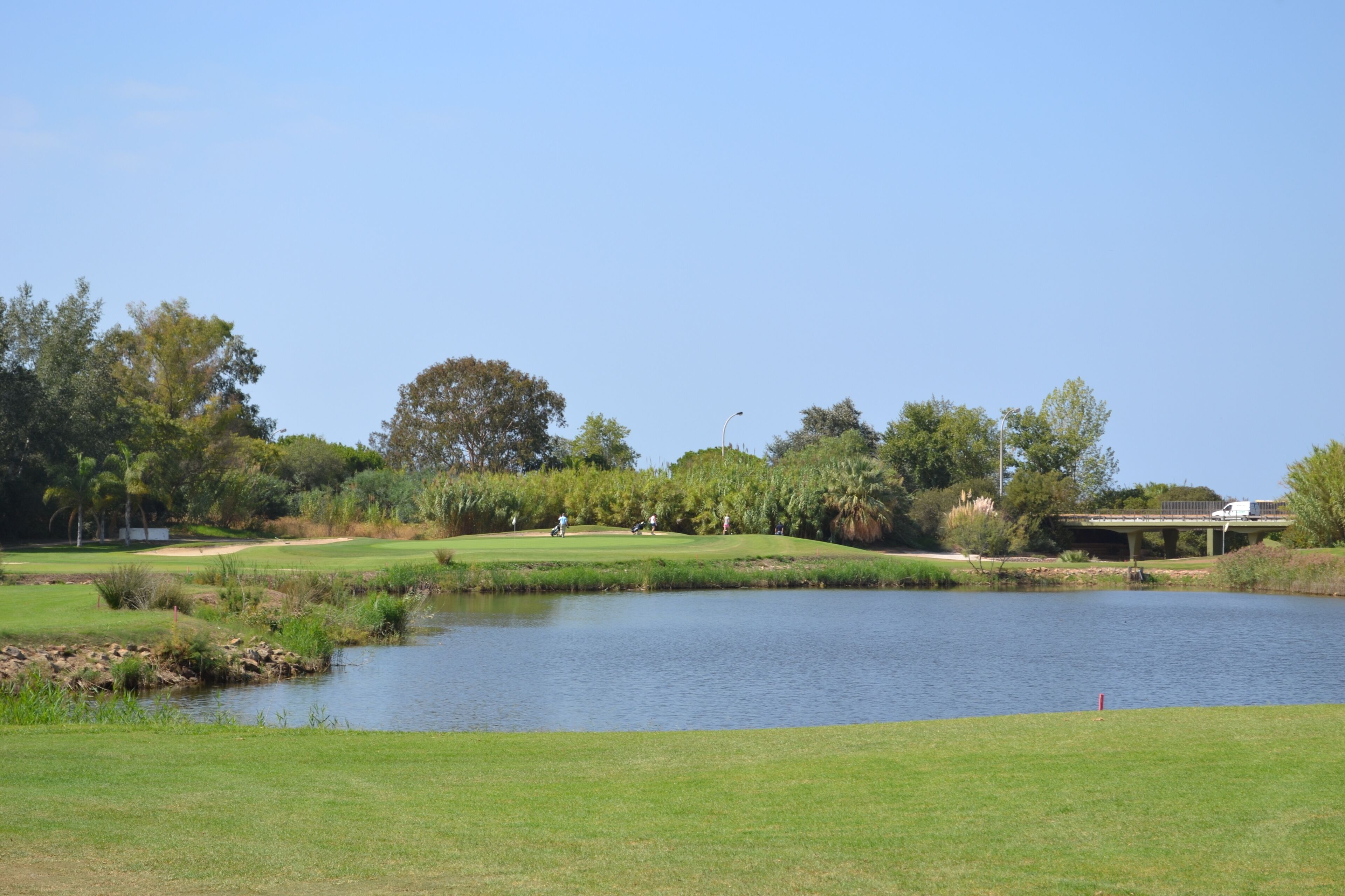 A golf course with a pond, trees, and a bridge.