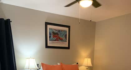 Near CajunDome/Field & ULL, Downtown