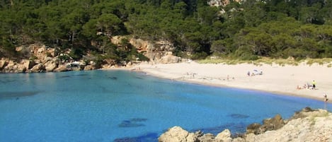 Vlak bij het strand