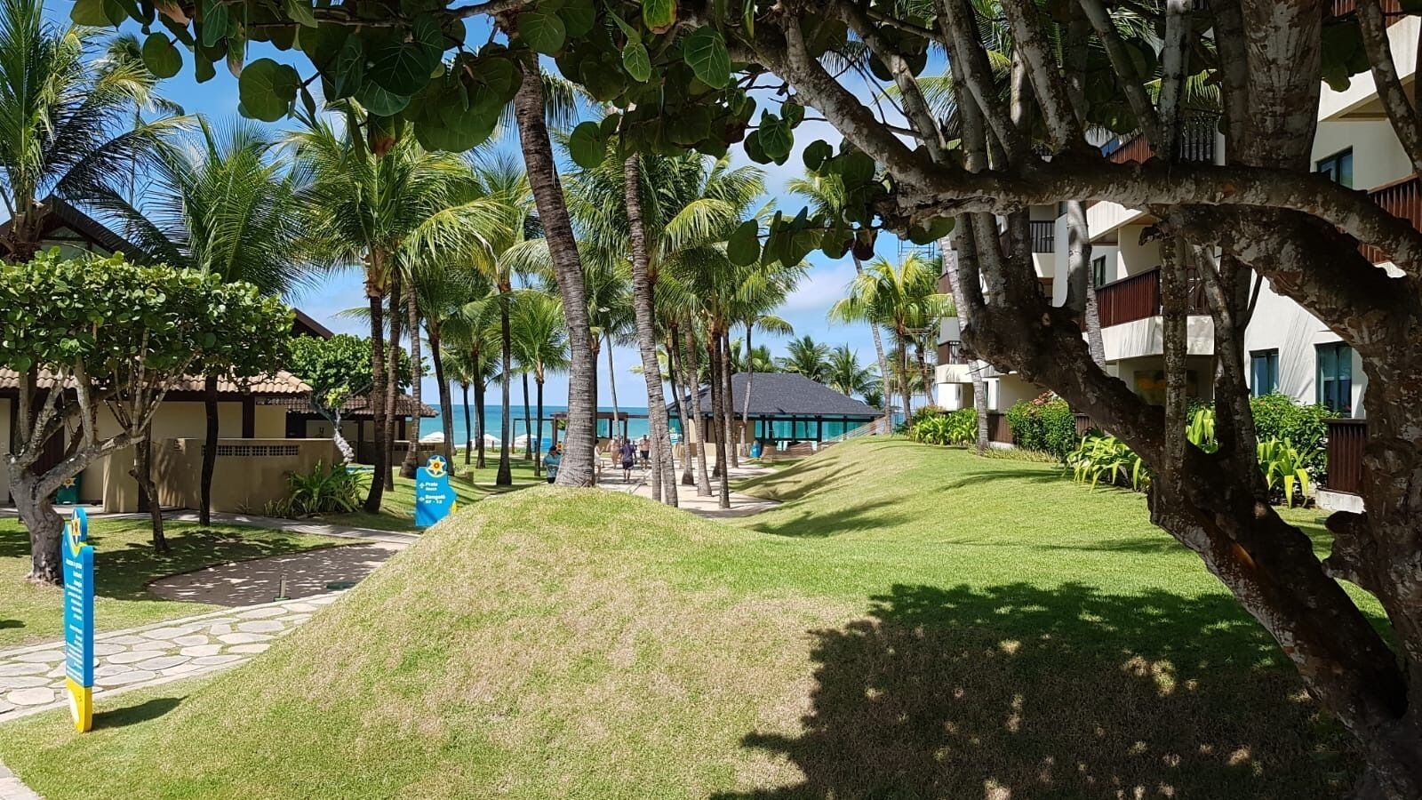 Standard-Studiosuite | Terrasse/Patio