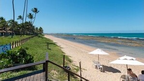 Uma praia com palmeiras, um deque de madeira e cadeiras de praia sob guarda-sóis.
