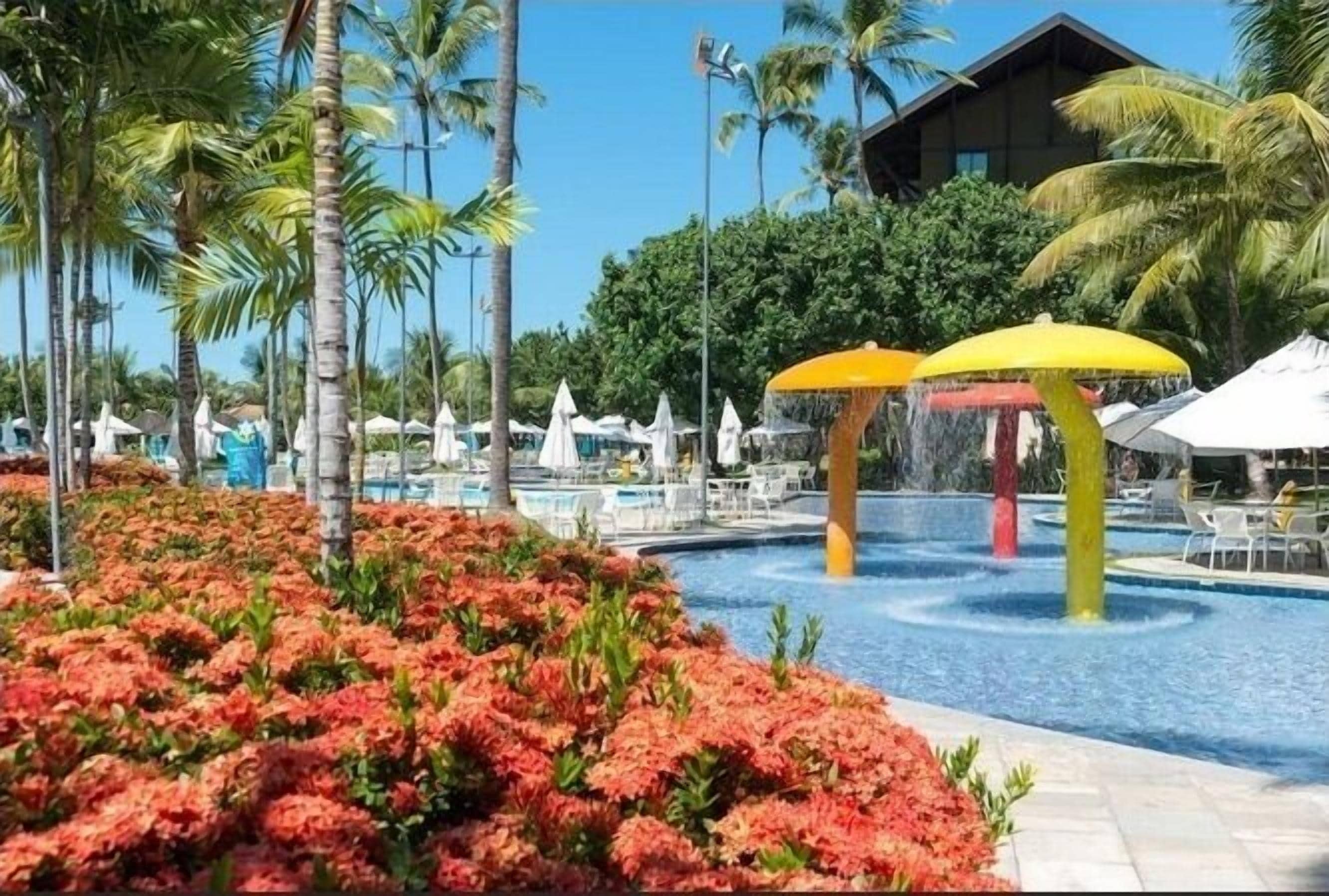 A pool area with water features, surrounded by palm trees and a flower bed.