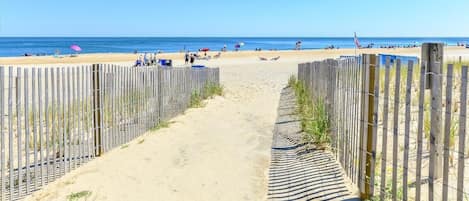 Vlak bij het strand
