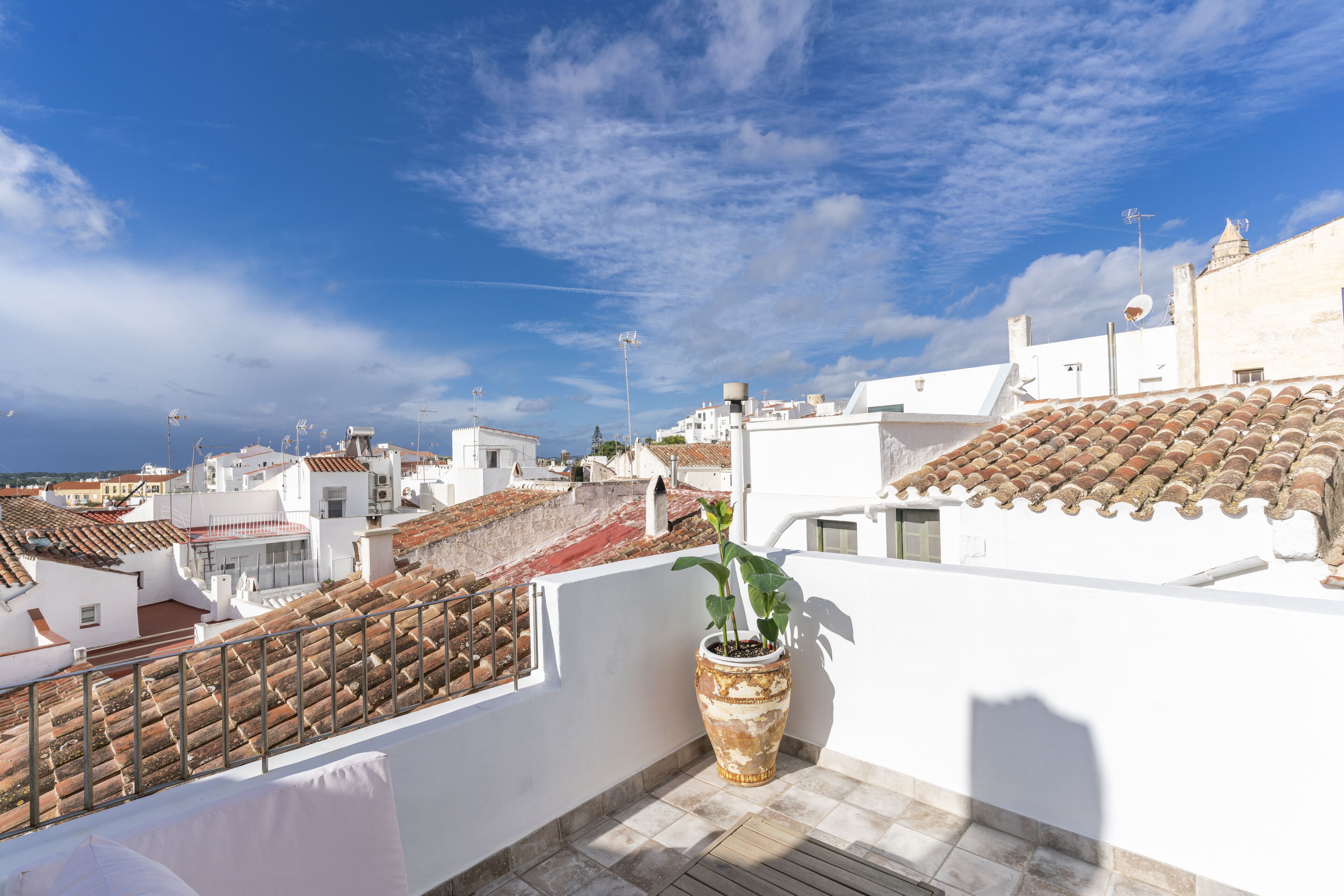 A rooftop terrace with a potted plant, white walls, and terracotta roof tiles.