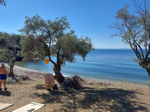 Serviettes de plage