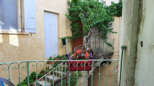Une cour étroite, fermée par un portail en métal, agrémentée de plantes en pot et dotée d’un escalier menant à un bâtiment avec une porte blanche et des volets aux fenêtres.