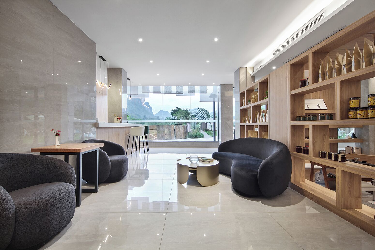Ein modernes Wohnzimmer mit großem Fenster, einer Bücherwand und zwei Sofas.