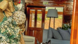 Ein Hund steht in einer Türöffnung neben einem Weihnachtsbaum, geschmückt mit goldenen Bändern und Dekorationen.