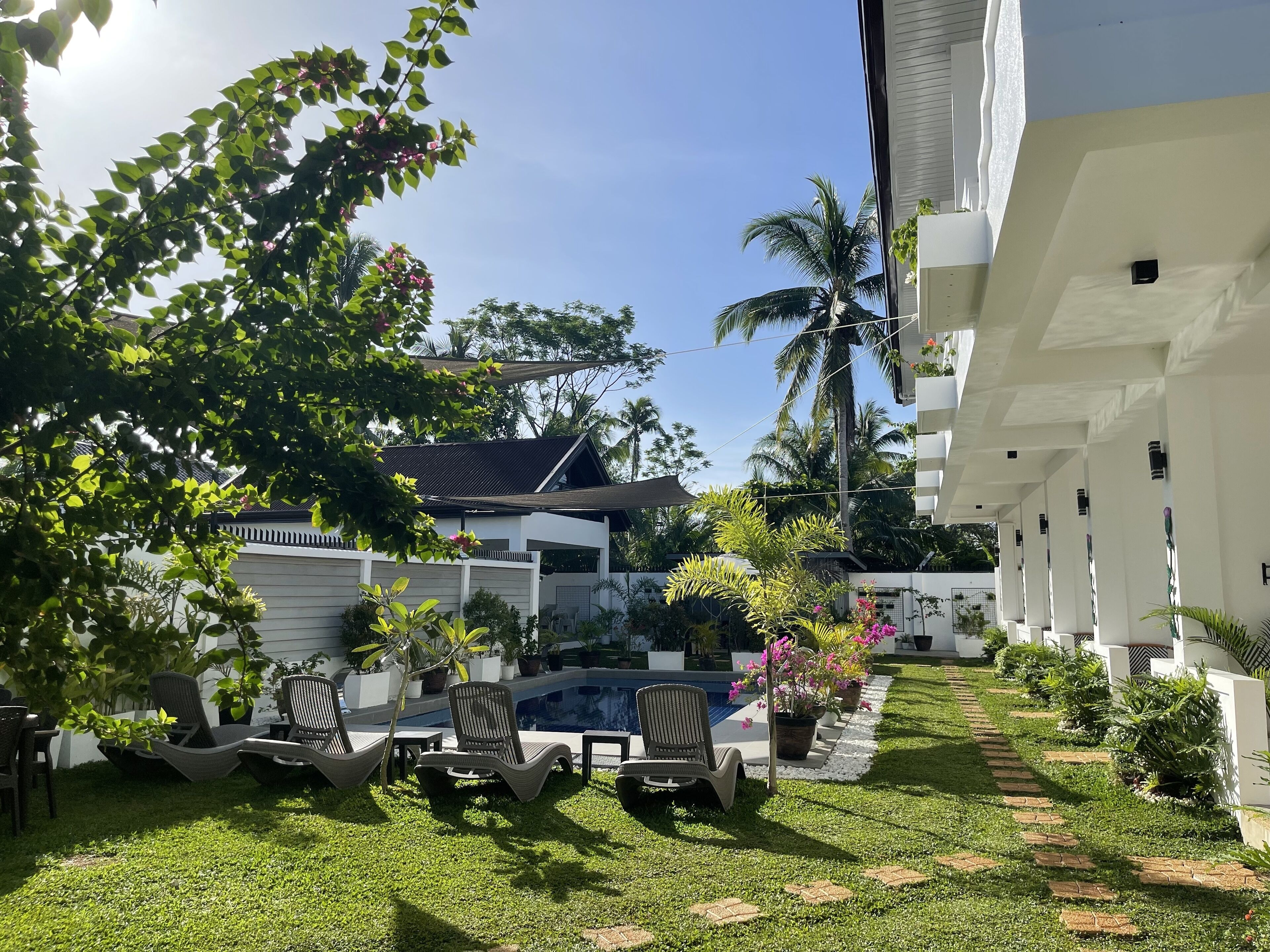 A poolside area with lounge chairs, a small pool, and a garden with various plants and a palm tree.