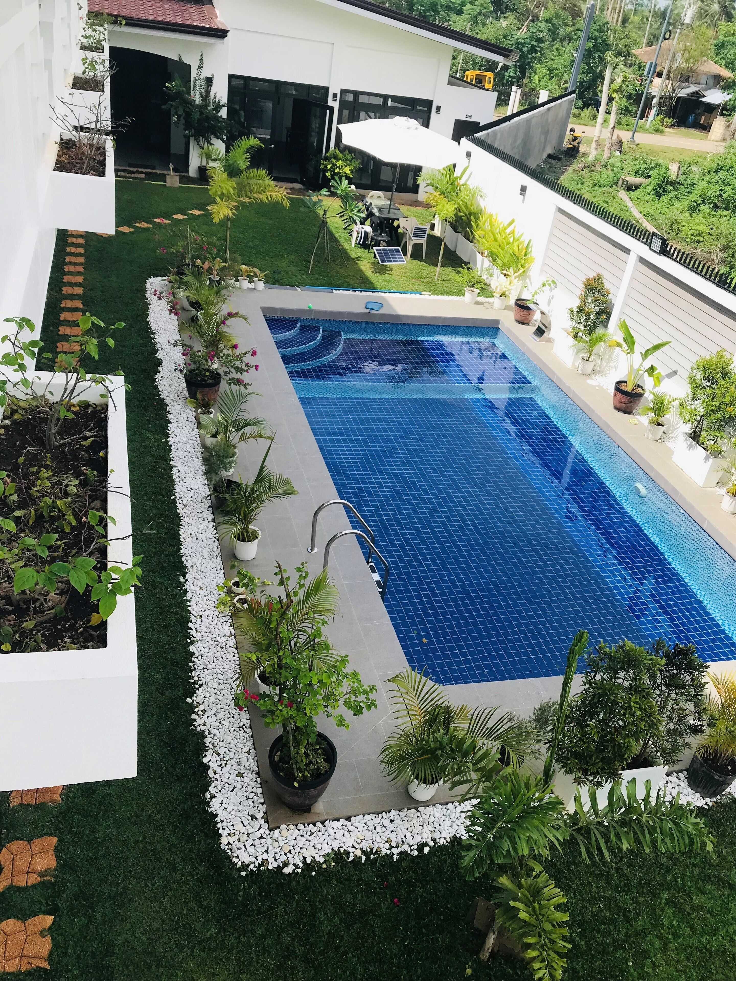 A rectangular swimming pool with a tiled edge, surrounded by white pebbles and various potted plants.