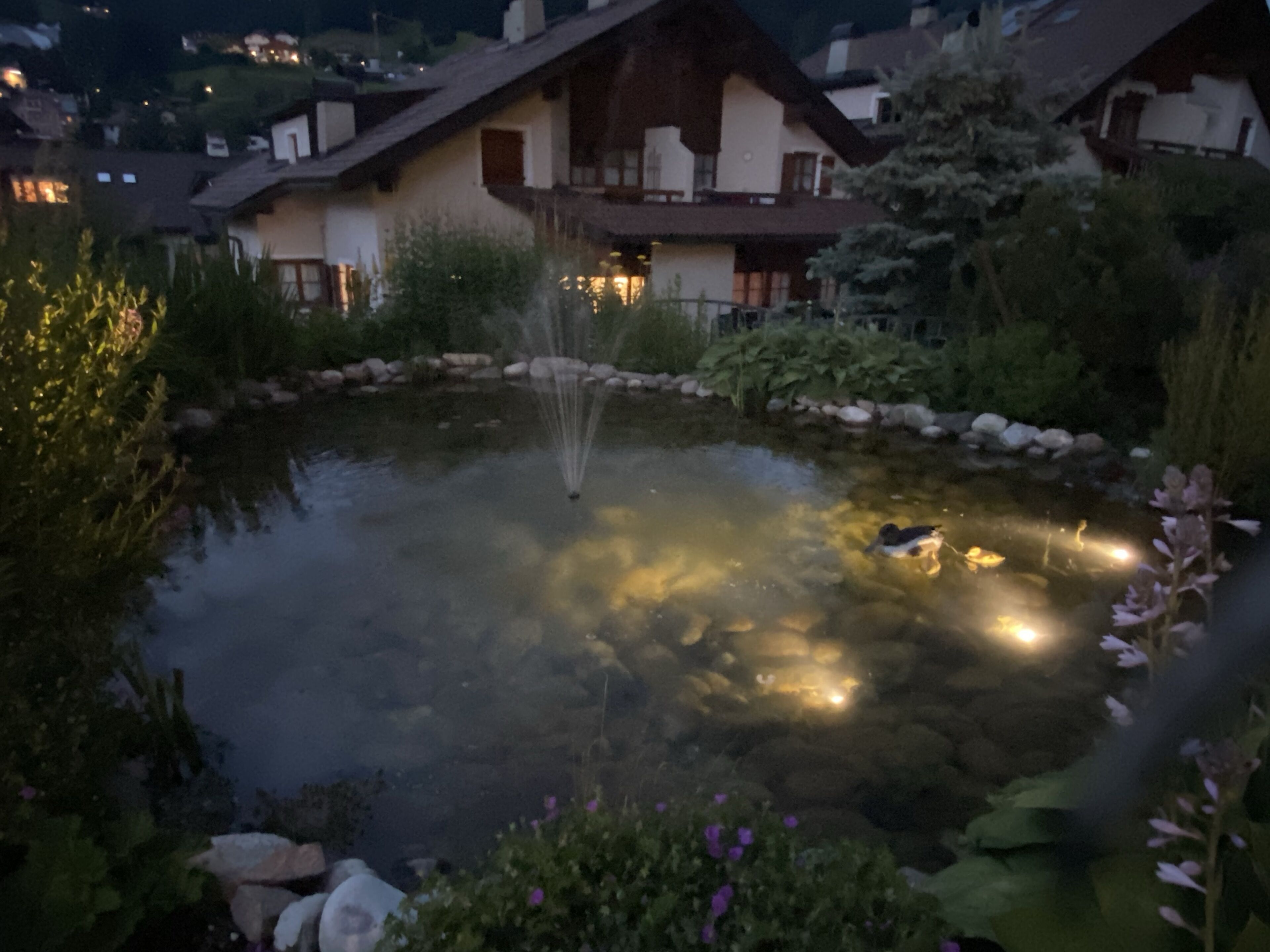 A pond with a fountain, surrounded by rocks and plants, with houses in the background.