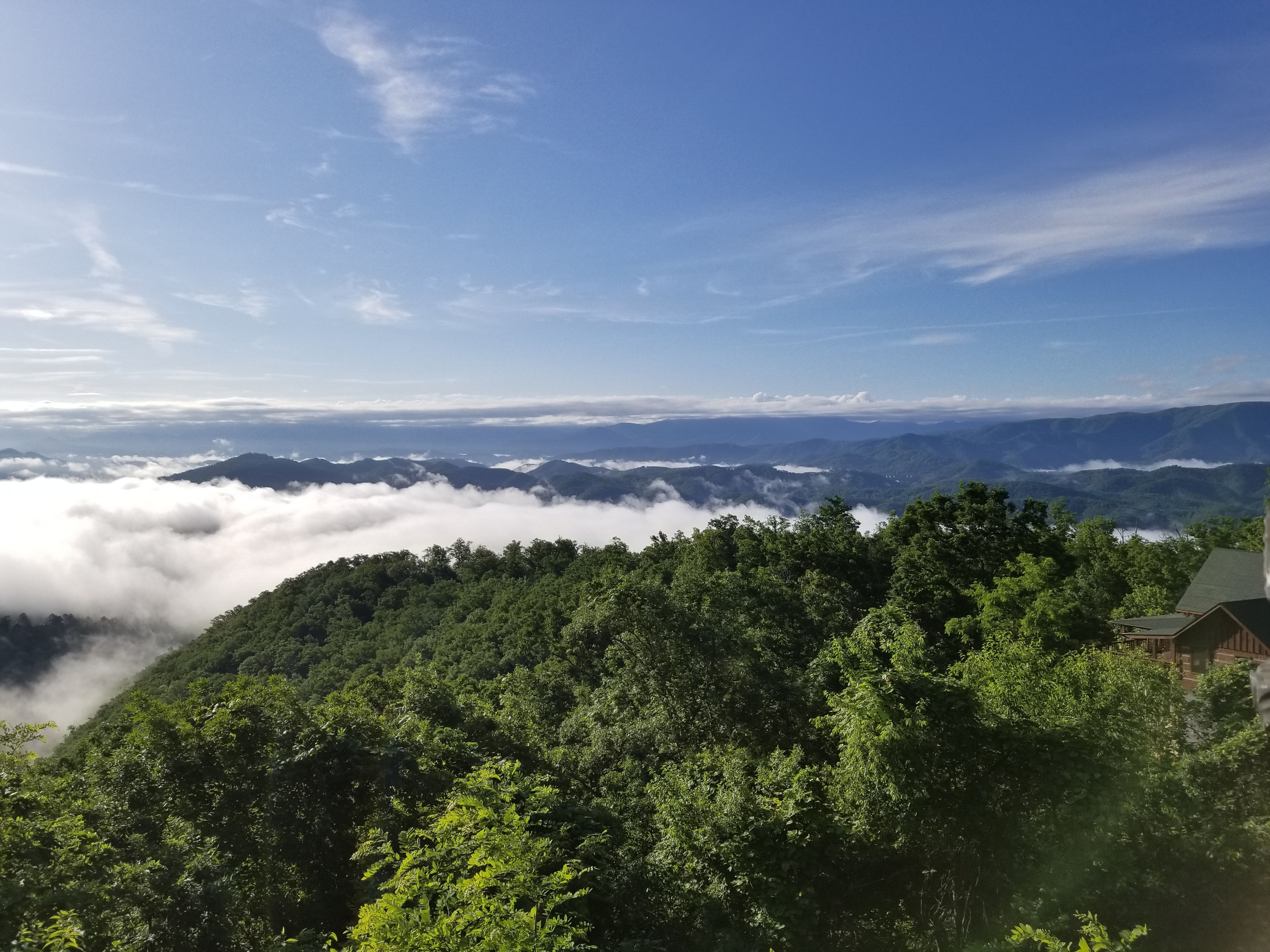 A mountainous landscape with dense forest and a clear sky.