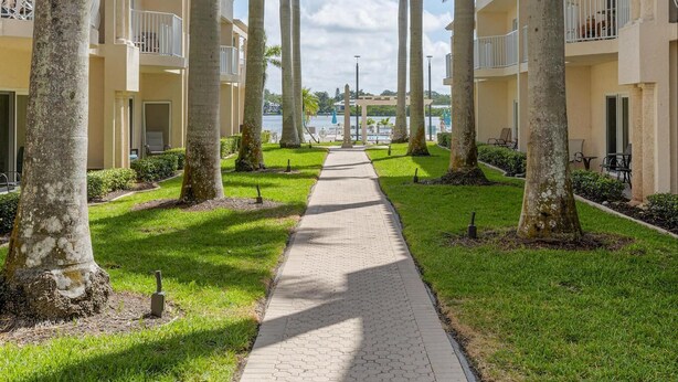 A pathway lined with palm trees leading to a building with balconies.