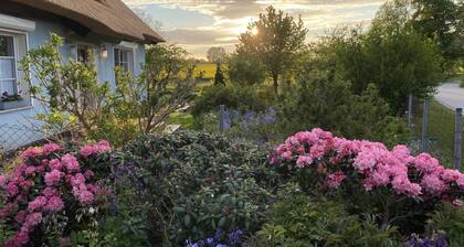 Reethaus Vilmnitz - Ferienwohnung "Vilm"