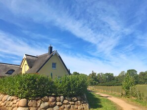 Eksteriør
