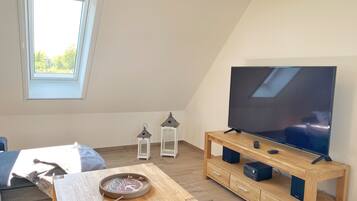 Fernseher, Stereoanlage