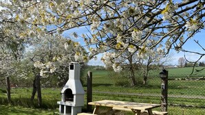 A picnic area with a grill and benches, surrounded by blooming trees and a fenced field. - Reethaus Vilmnitz - Ferienwohnung "muglitz" (Vilmnitz)