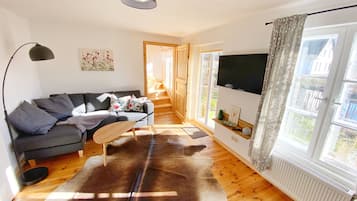 Televisión y chimenea