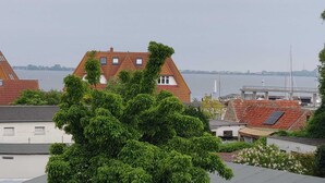 A residential area with houses, a body of water, and a bridge.