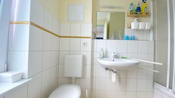 Ducha, secador de pelo y toallas