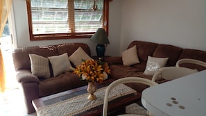 智能電視、書籍