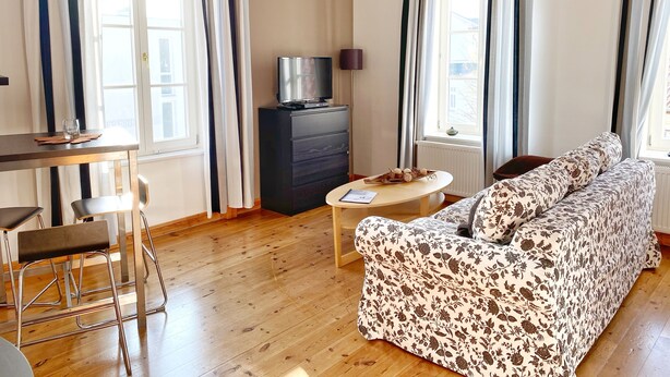 A living room with a sofa, a TV on a cabinet, a table with a glass, and a chair. - Seaside Apartments, "Brown" (Sassnitz)
