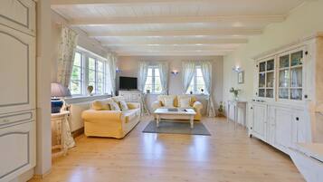 Fernseher, Stereoanlage