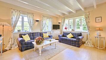 Fernseher, Stereoanlage