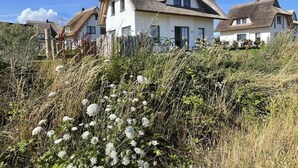 A row of houses with thatched roofs, surrounded by dense vegetation and wildflowers. - Ferienhaus "rugard" mit Panoramasauna und Boddenblick (Dranske)