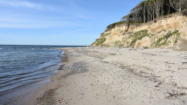 A sandy beach with gentle waves, a rocky cliff with sparse vegetation, and a clear sky. - Ferienhaus "rugard" mit Panoramasauna und Boddenblick (Dranske)