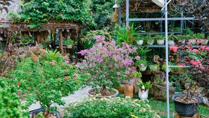 Deluxe Double Room, Garden View | Garden view - CALI HILL RESORT & SPA (Phu Quoc)