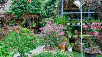 Vista al jardín