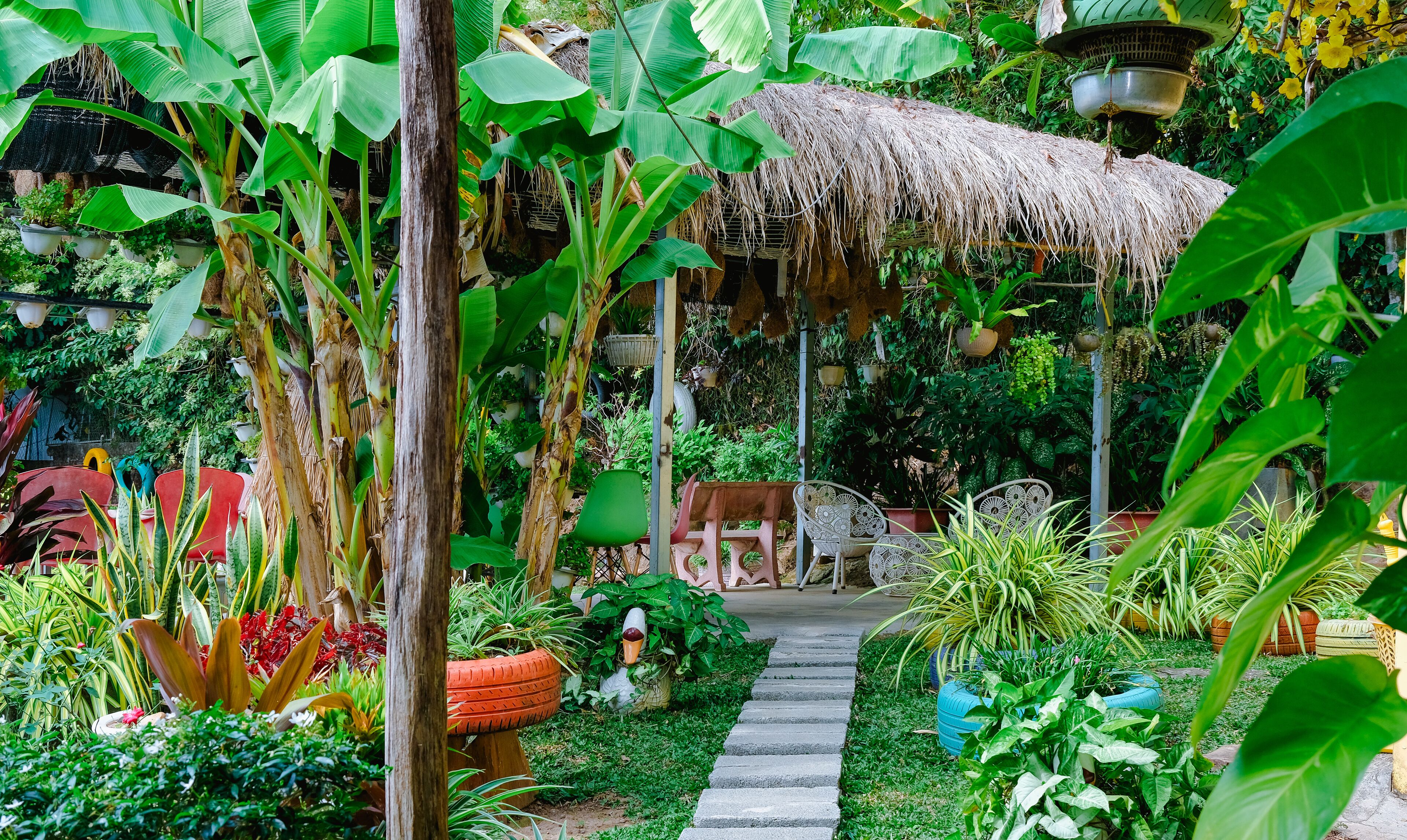 Foto - Cali Hill Resort & Spa