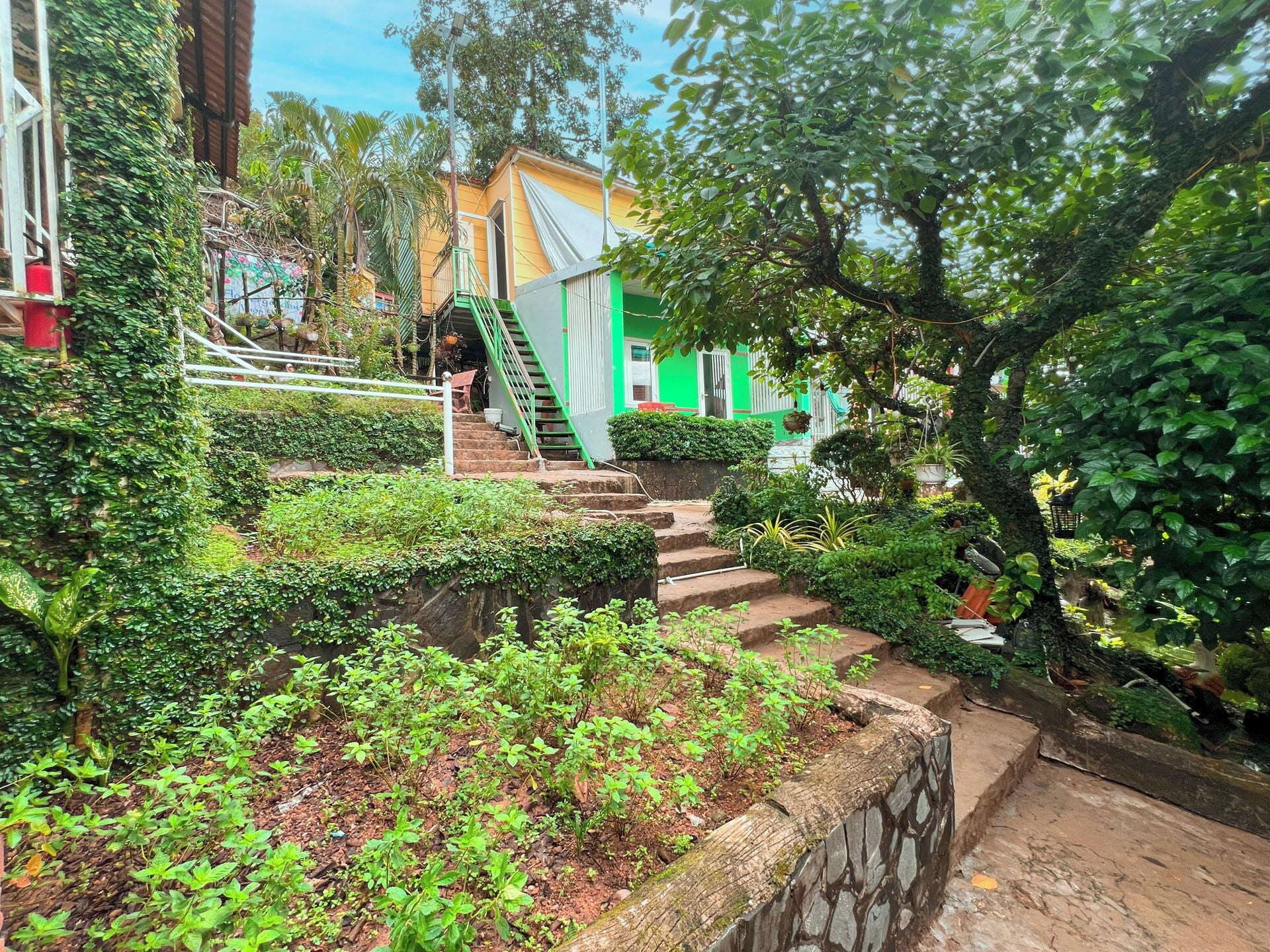 Foto - Cali Hill Resort & Spa