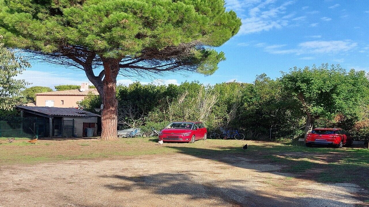 A residential area with a large tree, two red cars, and a small building.