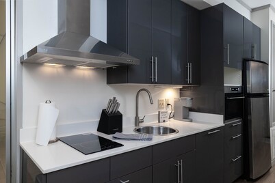 Modern Luxury Downtown Condo