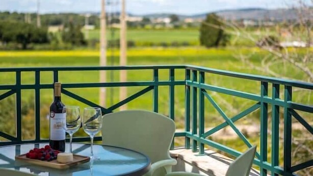Un tavolo con una bottiglia di vino, due bicchieri e un piatto di frutti di bosco su un balcone con ringhiera verde.