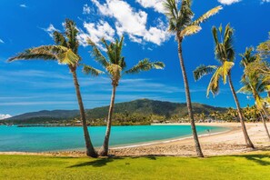 A beach with palm trees, clear turquoise water, and a distant mountain range.