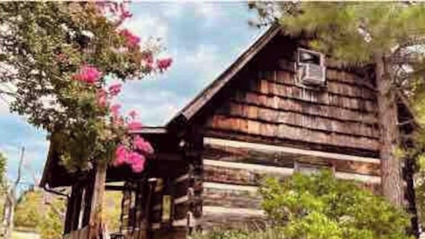 A rustic wooden cabin with a porch, surrounded by greenery and a tree with pink flowers. - Log Cabin on Main St. In the ❤️ of Winston Salem. Sleeps 4 comfortably.  (Winston-Salem)