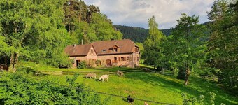 Old freestone farm built in 1880 in the middle of Alsace and nature