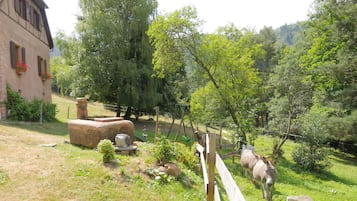 Enceinte de lâhĂ©bergement