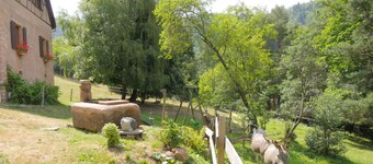 Old freestone farm built in 1880 in the middle of Alsace and nature