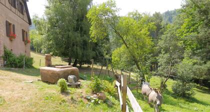Old freestone farm built in 1880 in the middle of Alsace and nature