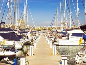 Boats docked along a well-organized marina with clear pathways.