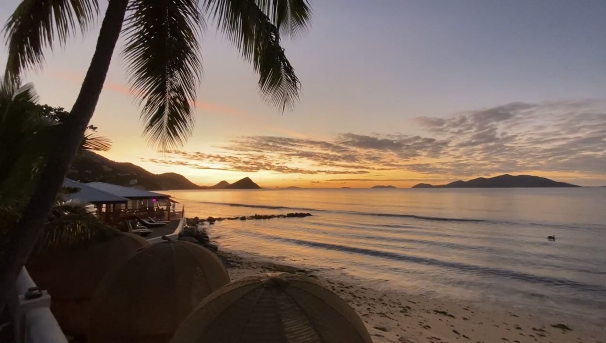 A beach scene with a sunset, palm trees, and a boat dock.
