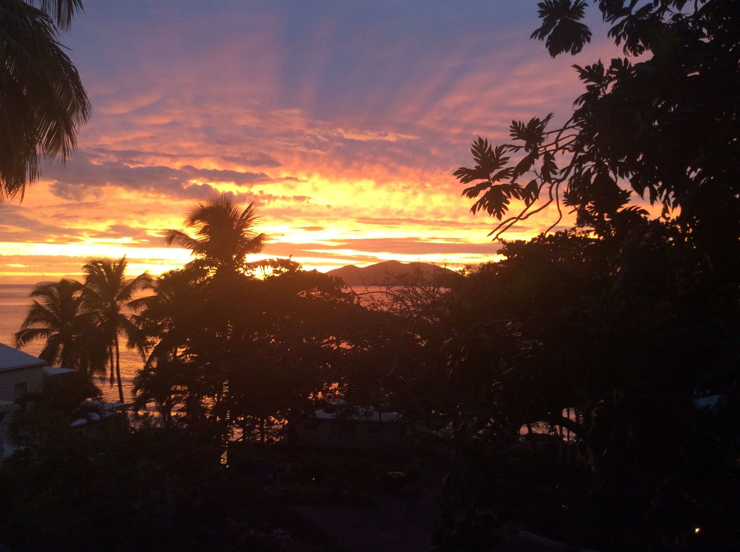 A sunset view with palm trees and a mountain in the background.