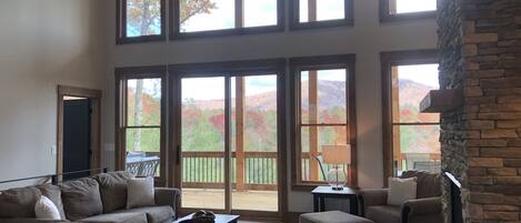 Smart TV, fireplace, DVD player, books