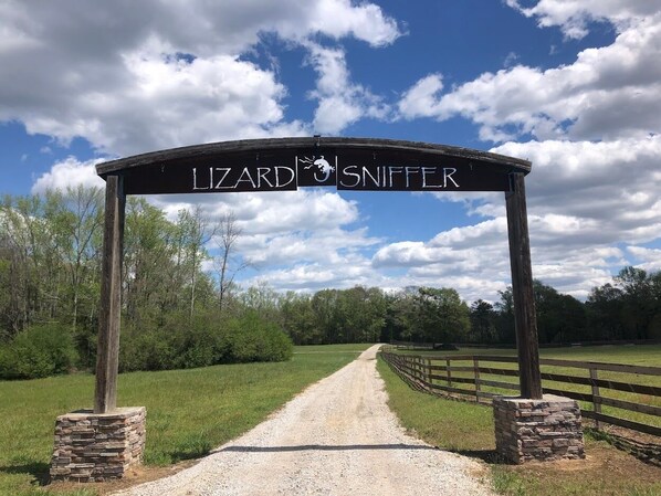 A gravel path leading to a wooden archway with the text "LIZARD SNIFTER" and a logo.