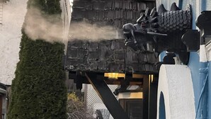 Eine Drachenstatue mit Wasserspeier, eine Holzkonstruktion und ein Heckenrondell.